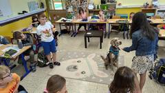 Training mit Schulhund Bamba (Foto: SR/Christoph Borgans)