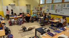 Unterricht und Schulhund Bamba hat Pause (Foto: SR/Christoph Borgans)