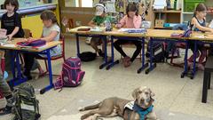 Schulhund Bamba auf seinem Platz im Klassenzimmer (Foto: SR/Christoph Borgans)