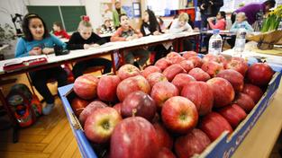 Äpfel für Schüler (Foto: IMAGO / Pressefoto Kraufmann&Kraufmann)