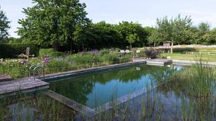 Ein Schwimmteich in einem Garten (Foto: IMAGO / Margit Wild)