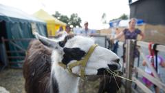 Der Montag auf der SR 3-SommerAlm 2018 (Foto: Pasquale 'Angiolillo)