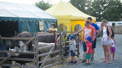 Der Montag auf der SR 3-SommerAlm 2018 (Foto: Pasquale 'Angiolillo)