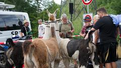 Der Start der SR 3-SommerAlm 2018 am 20. Juli (Foto: Pasquale D'Angiolillo)