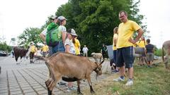 Der Start der SR 3-SommerAlm 2018 am 20. Juli (Foto: Pasquale D'Angiolillo)