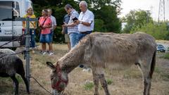 Der Start der SR 3 SommerAlm 2022 (Foto: SR/Pasquale D'Angiolillo)