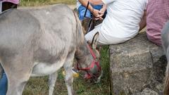 Der Start der SR 3 SommerAlm 2022 (Foto: SR/Pasquale D'Angiolillo)