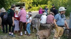 Der Start der SR 3 SommerAlm 2022 (Foto: SR/Pasquale D'Angiolillo)