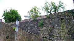Ein Loch als Ruheplatz für Falken an der Saarbrücker Schlossmauer (Foto: Peter Weitzmann)