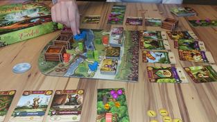 Das Spiel 'My lil' Everdell' (Foto: SR)
