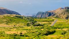 Madeira (Foto: SR 1)