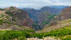 Madeira (Foto: SR 1)