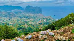 Madeira (Foto: SR 1)