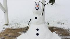 Willst du einen Schneemann bauen? Ja! 2017 wurde Olaf im Garten zum Leben erweckt! Leider ist er wieder geschmolzen… (Foto: Maren Dinkela)