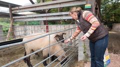 Der SR 3-Landpartie-Tag auf dem Boßert Bauernhof in Freisen-Asweiler (Foto: Pasquale D'Angiolillo)