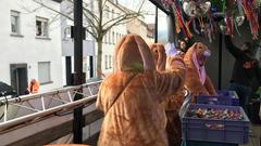 Der SR 3 Prunkwagen auf dem Umzug in Dillingen (Foto: SR/Karin Mayer)