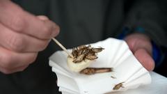 Impressionen vom Street Food Fest im Saarbrücker Bürgerpark (Foto: Pasquale D'Angiolillo)