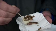 Impressionen vom Street Food Fest im Saarbrücker Bürgerpark (Foto: Pasquale D'Angiolillo)