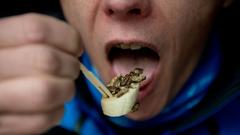 Impressionen vom Street Food Fest im Saarbrücker Bürgerpark (Foto: Pasquale D'Angiolillo)