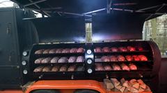 Impressionen vom Street Food Fest im Saarbrücker Bürgerpark (Foto: Pasquale D'Angiolillo)