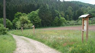 Bienenlehrpfad in Siersburg (Foto: Bernhard Forse)