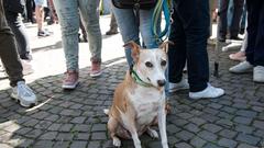 Der Treffpunkt Ü-Wagen in Jägersfreude (Foto: SR/Pasquale D'Angiolillo)