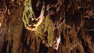 Das Innere der Tropfsteinhöhle in Niedaltdorf (Foto: SR)
