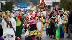 Faasenacht, Umzug Blieskastel 2016 (Foto: Pasquale D'Angiolillo)