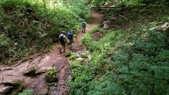 Wandern wird immer beliebter (Foto: SR)