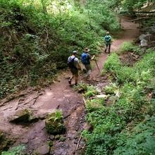 Wandern wird immer beliebter (Foto: SR)