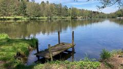 Sonniges Wetter am Jägersburger Weiher (Foto: SR/Lisa Krauser)