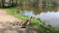 Sonniges Wetter am Jägersburger Weiher (Foto: SR/Lisa Krauser)