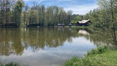 Sonniges Wetter am Jägersburger Weiher (Foto: SR/Lisa Krauser)