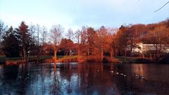 Abendstimmung am Weiher im Brühlpark in Theley (Foto: Elke Neis)