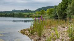 Bedeckter Himmel über dem Baggersee in Remerchen (Foto: Albert Klee)