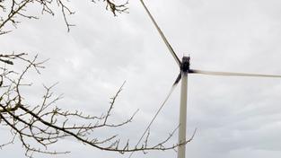 Das Losheimer Windrad am Tag nach dem Brand (Foto: SR)