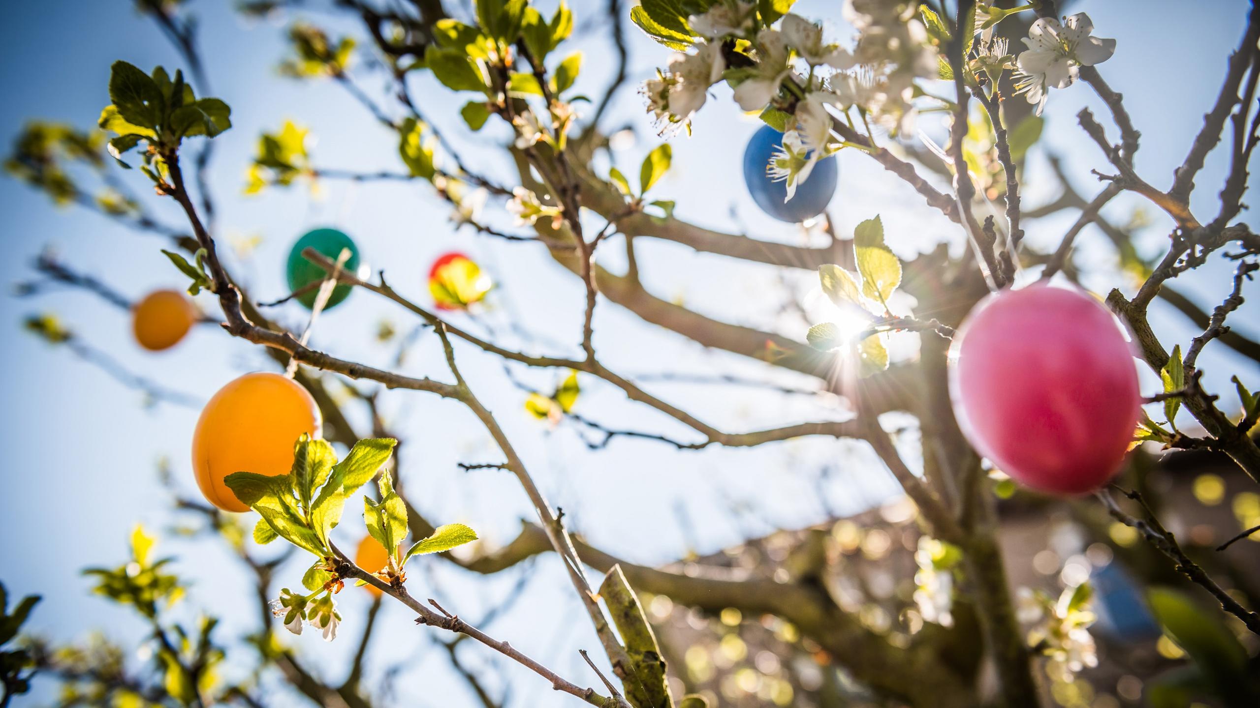 Wunschmusik an Ostern bei SR kultur  (Foto: iStock/marima-design)