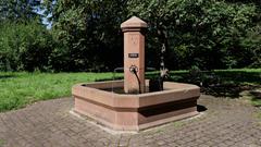 Dorfbrunnen an der Kelter in Wustweiler (Foto: Raimund Kiefer)