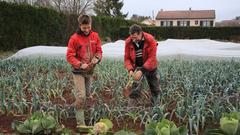 Sebastian und Dominique bei der Lauchernte (Foto: Lisa Krauser)