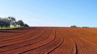 Feld bei Gronig (Foto: Eva aus Gronig)