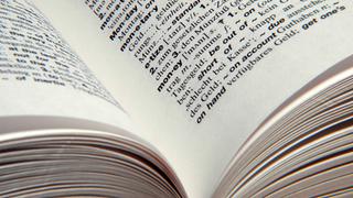 Ein offenes englisches Wörterbuch (Foto: IMAGO / Steinach)