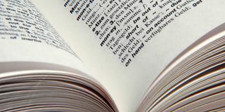 Ein offenes englisches Wörterbuch (Foto: IMAGO / Steinach)