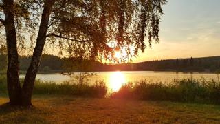 Losheimer Stausee (Foto: Tatjana aus Losheim)